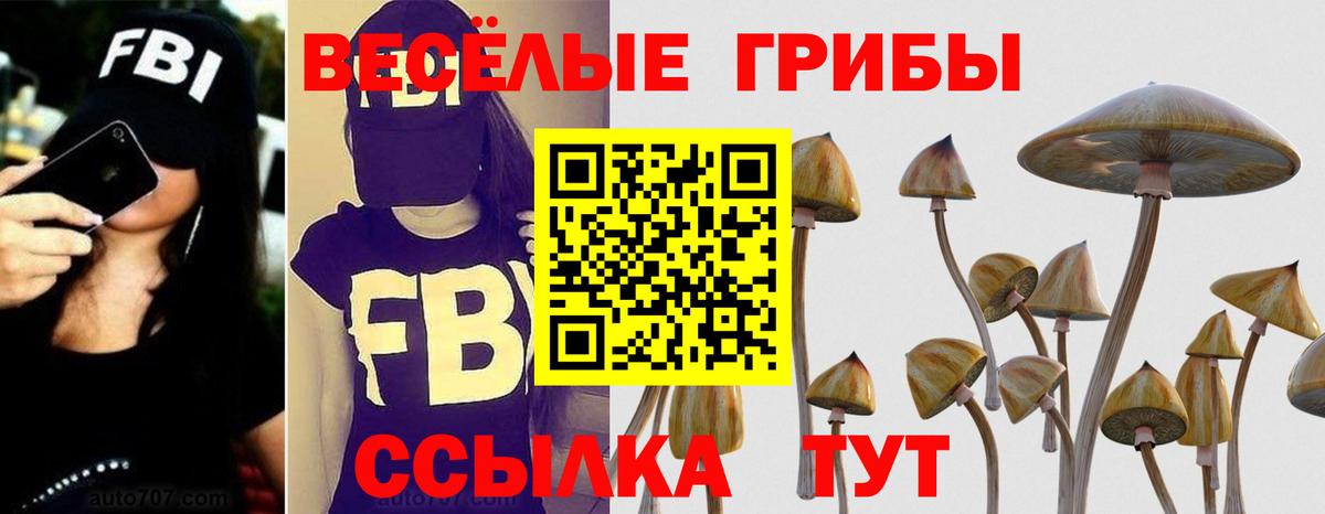 Петропавловск-Камчатский  Псилоцибиновые грибы Cubensis  Вход с VPN  Псилоцибиновые грибы Psilocybe 